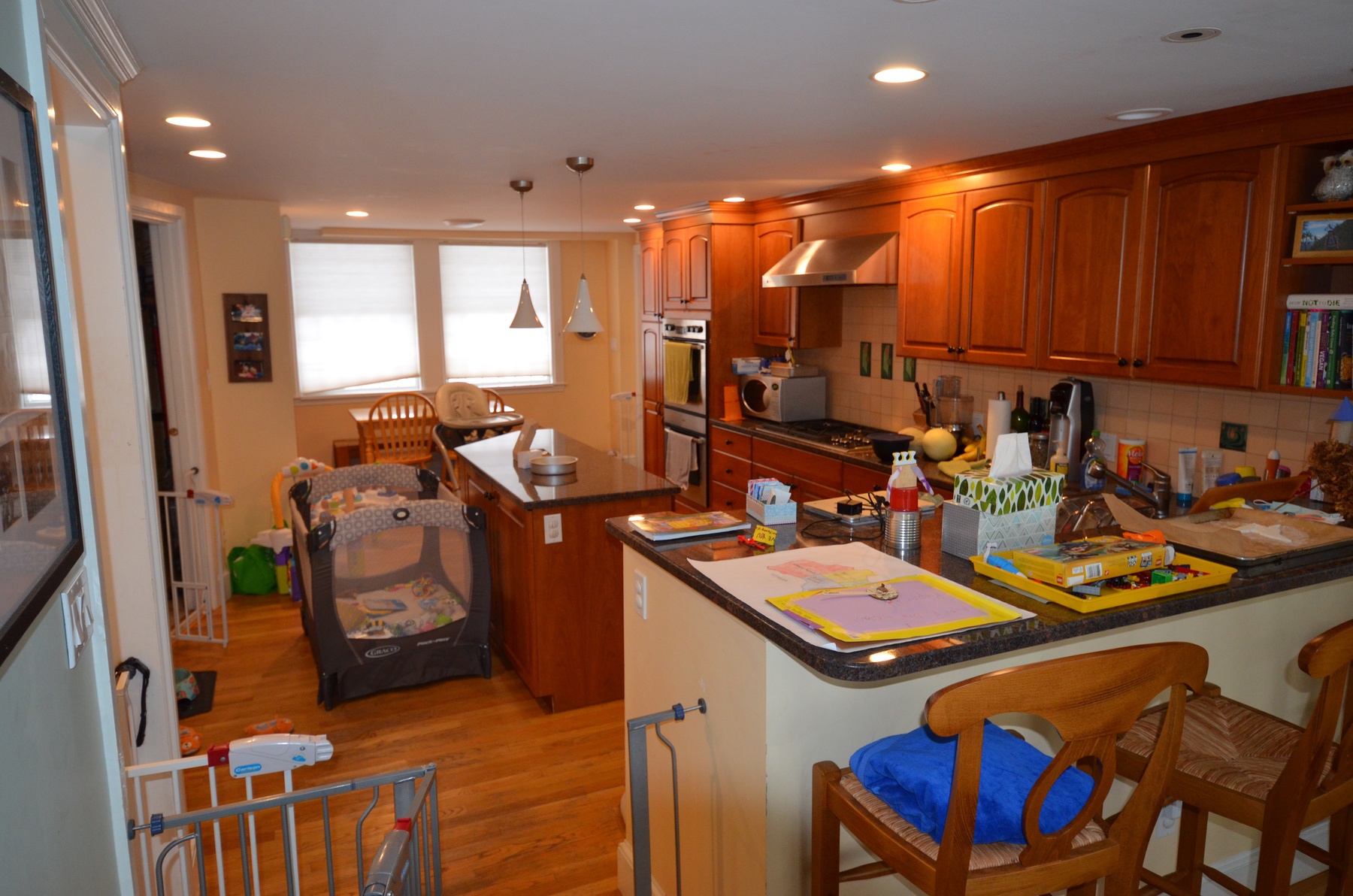 Before Kitchen Remodel